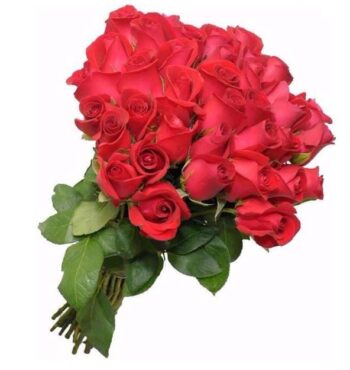 Buquê de Rosas Especias 50 Rosas