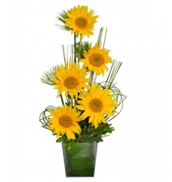 Corbelle Girassol Médio