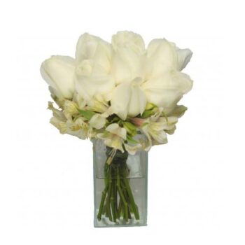 Mimo de  Rosas Brancas