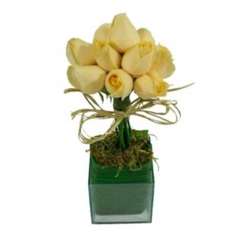 Topiaria de Rosas Champagne